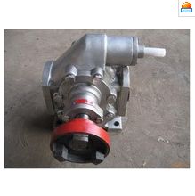 新聞 廠(chǎng)家供應(yīng)柴油油泵 12v電動(dòng)自吸抽油泵 汽車(chē)機(jī)油潤(rùn)滑齒輪柴油油泵招商